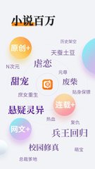 kok网页登录